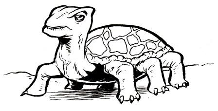 Plik:Tortapo (AMH1).jpg