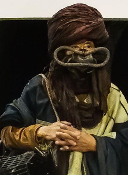 Plik:Dobias Cole-Truten.jpg