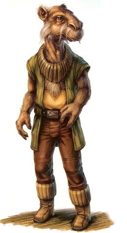 Plik:Yarkora.jpg