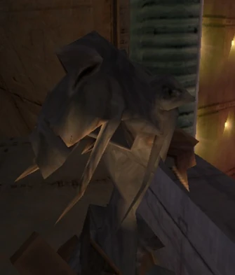 Plik:Bog'Ruhx.png