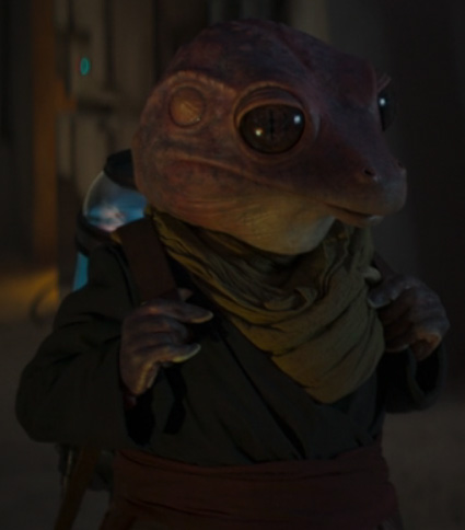 Plik:FrogLady.jpg