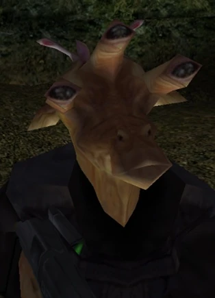 Plik:Yan Vrees.png