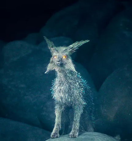 Plik:Vulpteksy.png