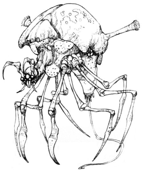 Plik:Arachnor.jpg
