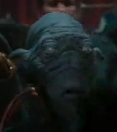 Plik:Nieznany gossanin.png