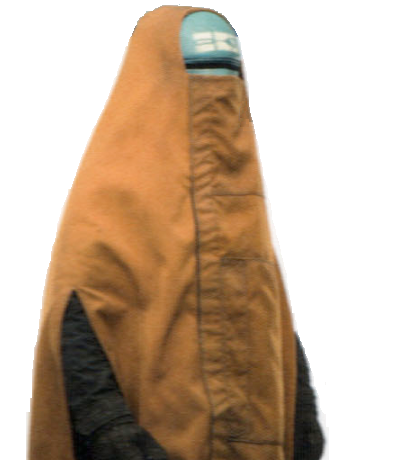 Plik:Gafferky Lenzwin.png