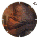 Plik:Tazo42.gif