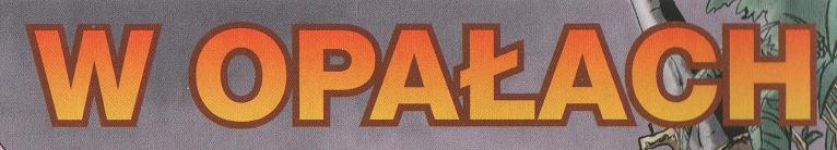Plik:W opalach.jpg