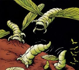 Plik:Fleshborer.jpg