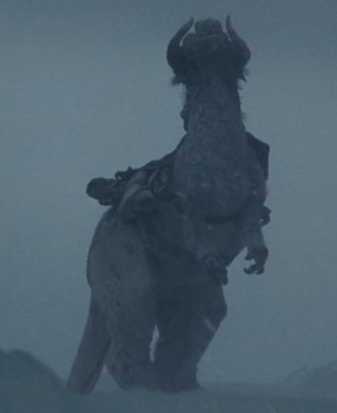 Plik:Murra tauntaun.png