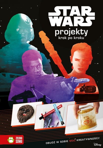 Plik:ProjektyKrok.jpg