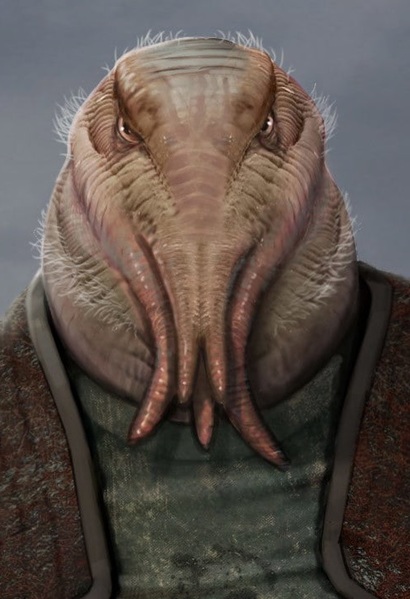 Plik:Oga Garra.jpg