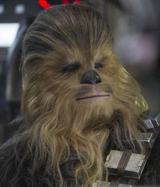 Plik:Chewbaccasiedem.jpg