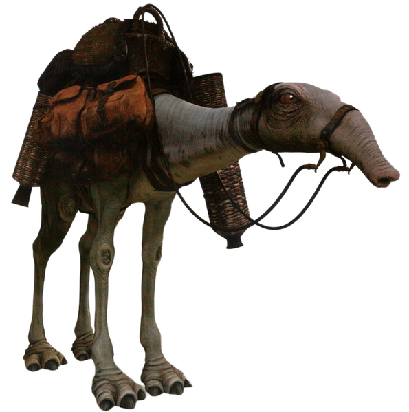 Plik:Eopie.png