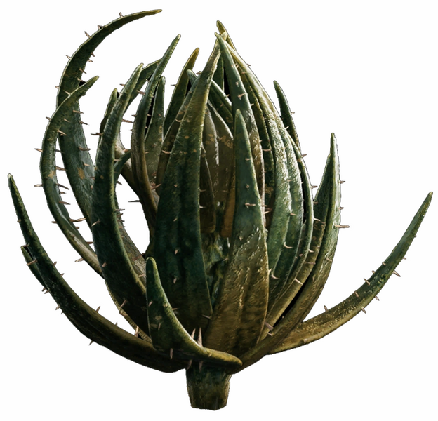 Plik:Kaktusowa kula.png
