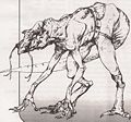 Miniatura wersji z 03:09, 15 gru 2008