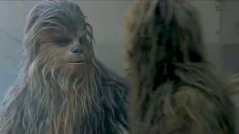 Plik:Chewie i Sagwa.jpg