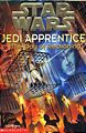 Jedi Apprentice: The Day of Reckoning
