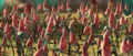 Miniatura wersji z 14:59, 9 lip 2010