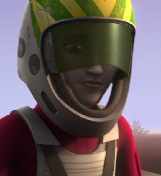 Plik:Dicer.jpg