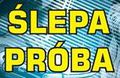Logotyp polskiego wydania